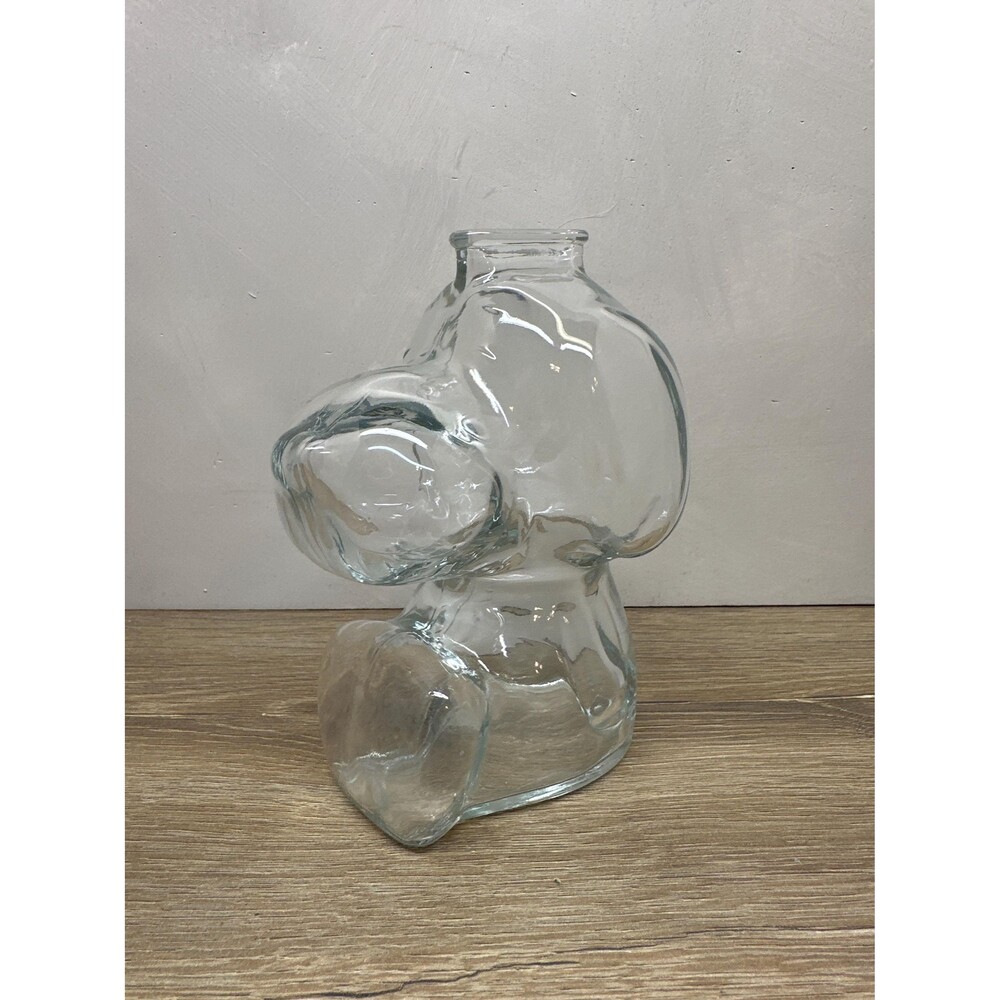 Vintage Anchor Hocking Clear Glass Snoopy Coin Bank Peanuts Collectible Retro